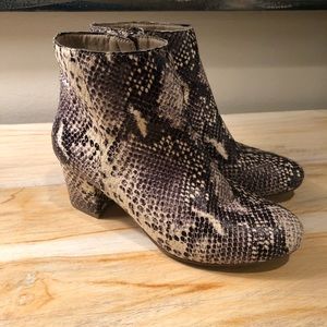 Steve Madden Snakeskin booties